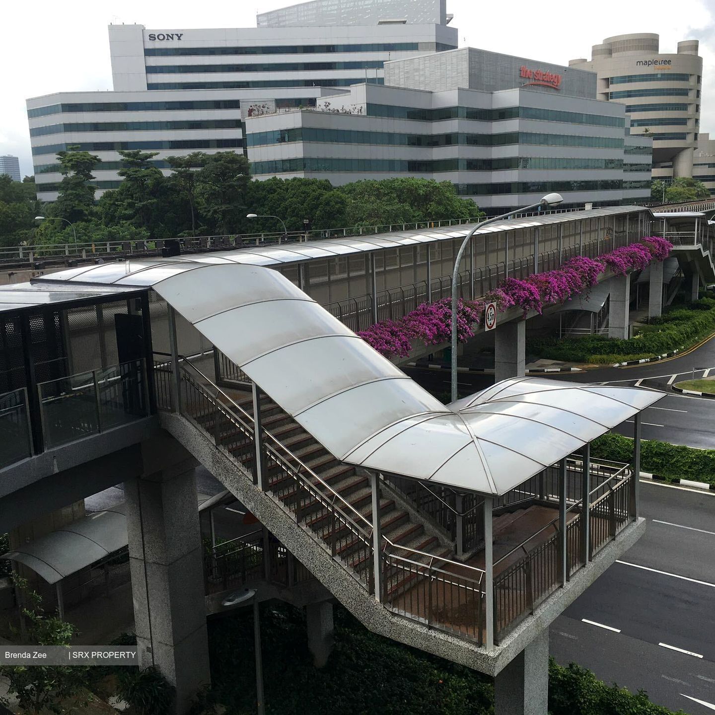 Carlisle Road (D8), Office #395813161